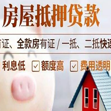 滨海贷款助贷公司新渝启服成立时间久